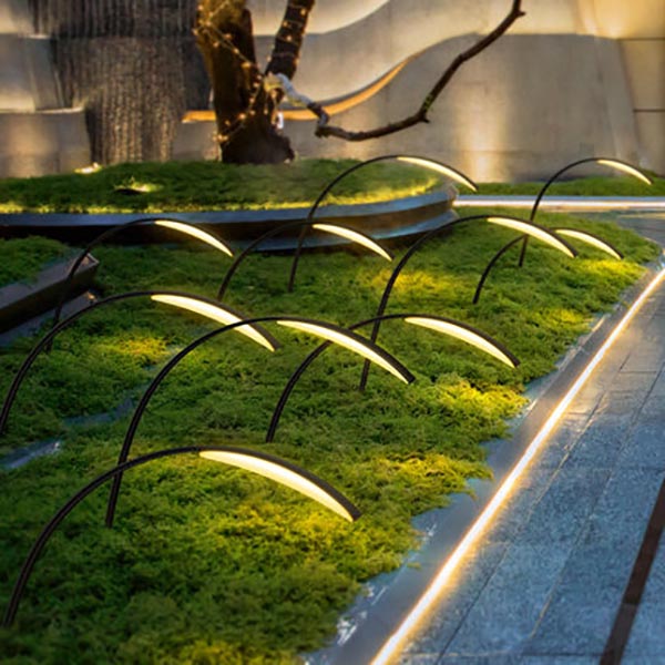 back-garden-lights